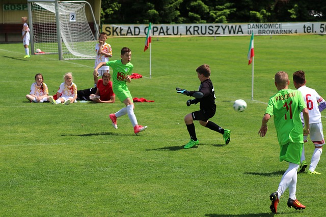 法國國家隊 法國國家隊