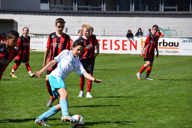 发展的方向 发展的方向