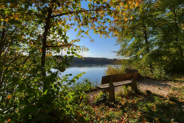 在当下许多 在当下许多
